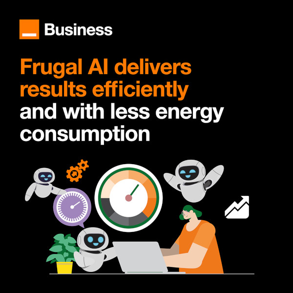 Frugal AI delivers results efficiently and with less energy consumption