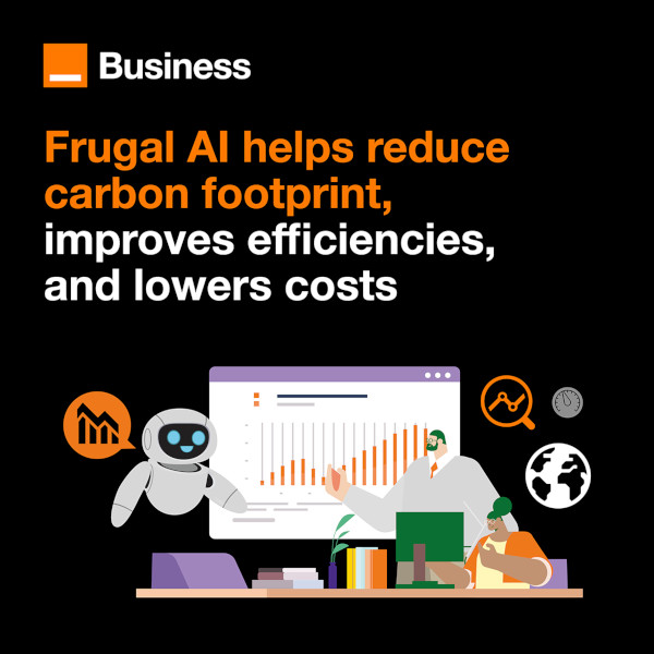 Frugal AI helps reduce carbon footprint, improves efficiencies and lowers costs