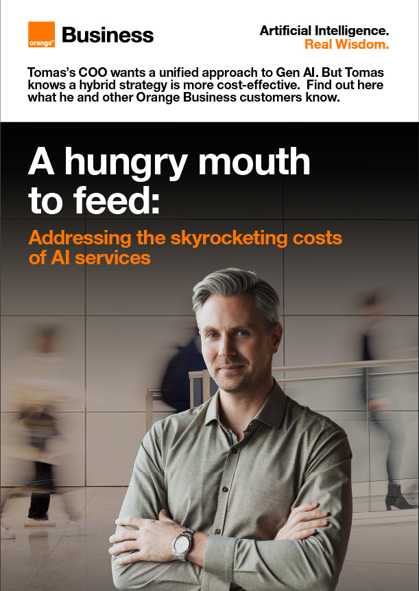 Addressing the skyrocketing costs of AI services